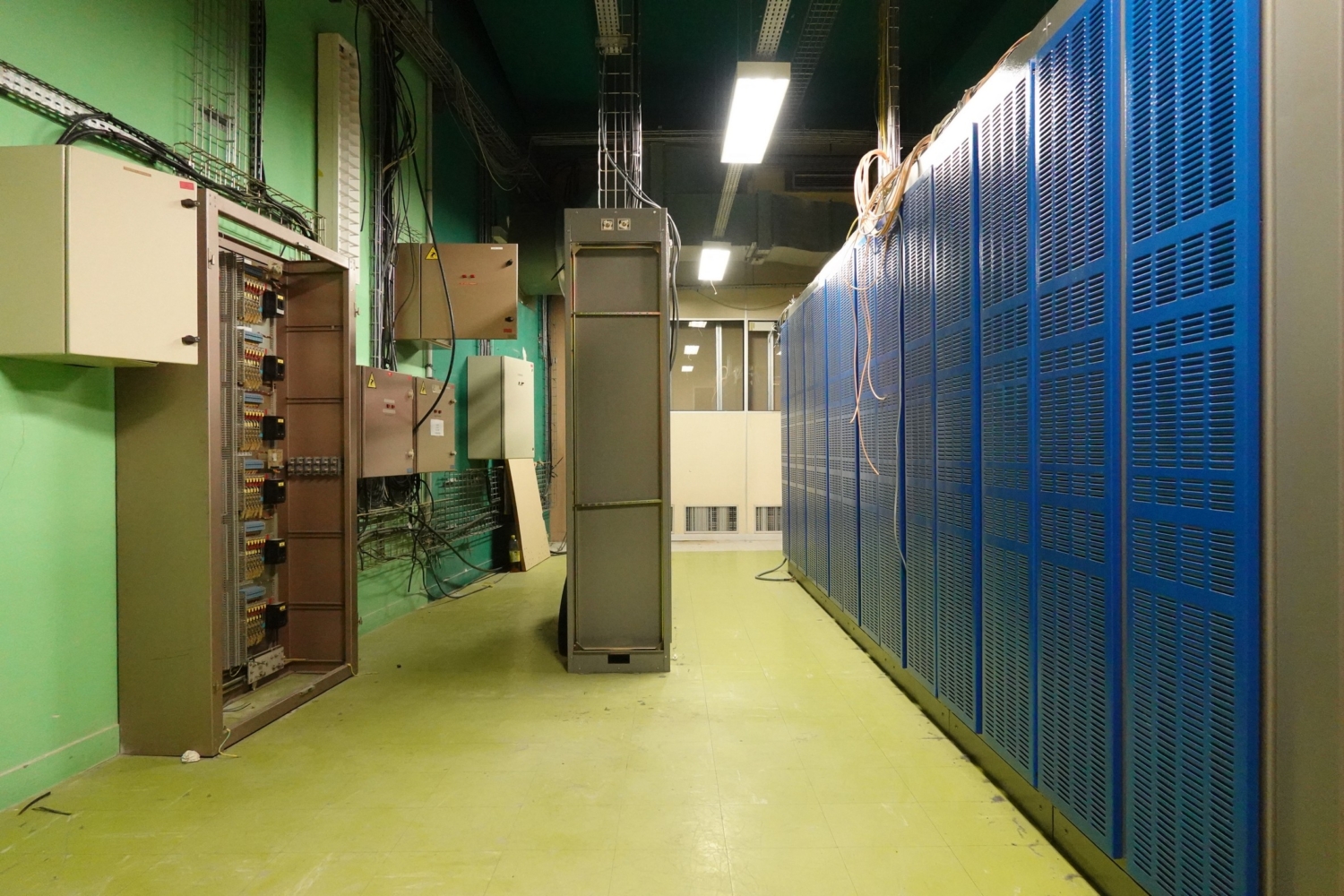 2025.06.09CevennesE10.5PAVIRef153328-32