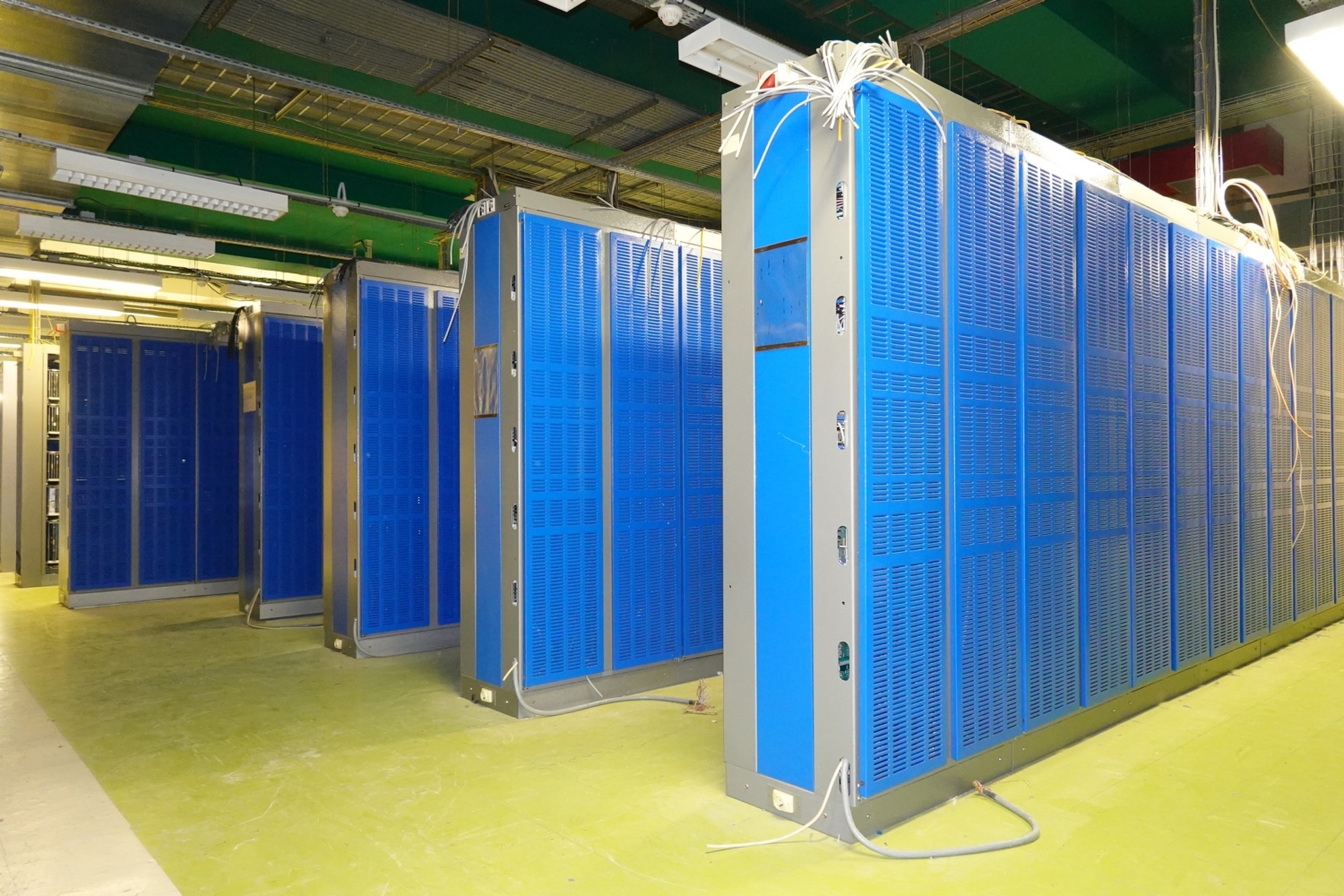 2025.06.09CevennesE10.5PAVIRef153328-37